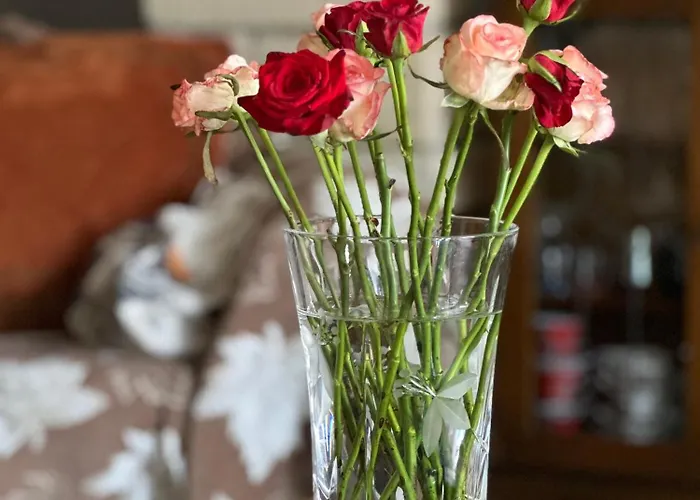 בית נופש Semina-marina הרסוניסוס